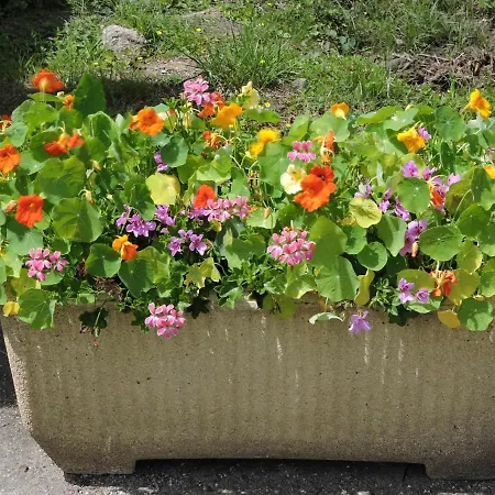 De L'ancienne Scierie 펜션