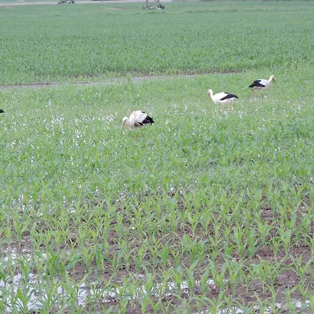 펜션 De L'ancienne Scierie *