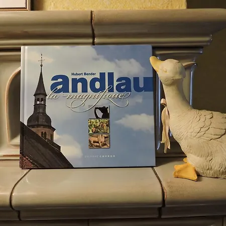 Tatil Evi De L'ancienne Scierie Andlau-au-Val