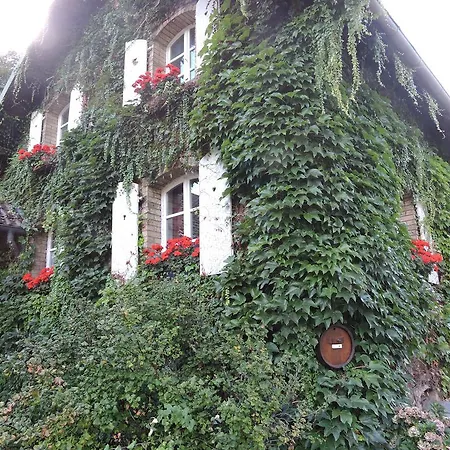 De L'ancienne Scierie Hébergement de vacances Andlau